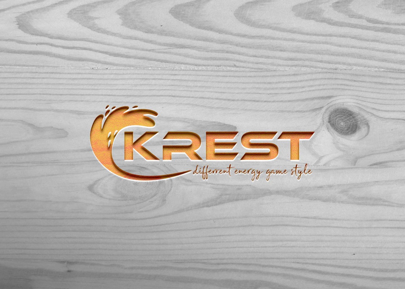 Logo Flipbook